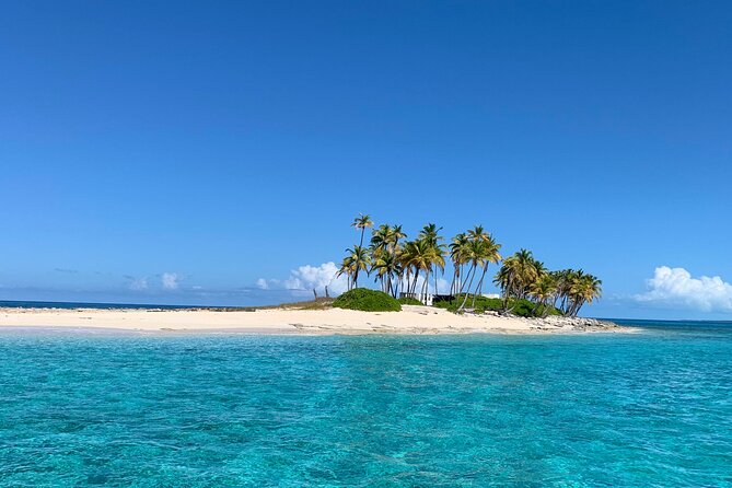 Half Day Swimming Pigs on Rose Island, Snorkeling and Lunch - Boat comfort, group size, and what is included