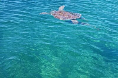 Honor Roll Private Bahamas Boat Charter