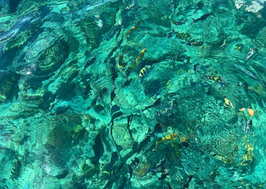 Invisible Boat & Snorkeling Experience at Nassau - Snorkeling Without Pressure