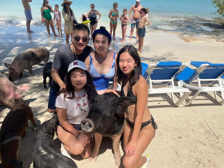 Island Hopping, Swimming w/ Turtles & Unlimited Bahamas Mama - Nassau Harbor, Atlantis Harbor, and the fish market