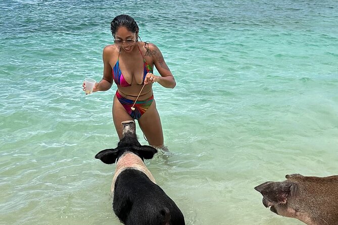 Luxury Catamaran Cruise: Sip, Sail, Snorkel, and Swim with Pigs! - Six details worth knowing before you book