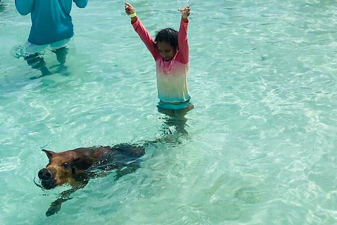 Luxury Catamaran Cruise: Sip, Sail, Snorkel, and Swim with Pigs! - Setting sail from Hurricane Hole Marina