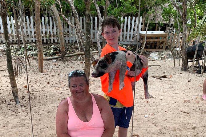 Luxury Catamaran Cruise: Sip, Sail, Snorkel, and Swim with Pigs! - Pig Beach: a funny, slightly muddy island encounter