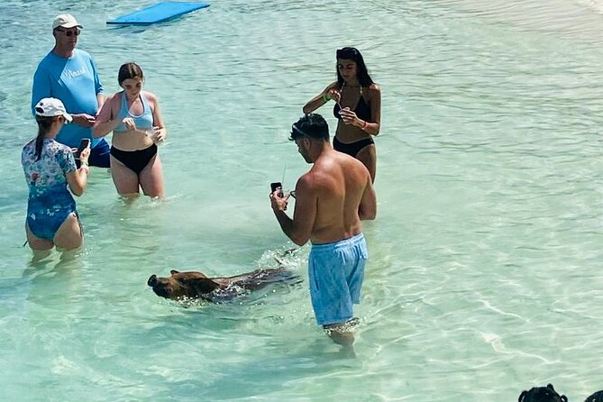 Luxury Catamaran Cruise: Sip, Sail, Snorkel, and Swim with Pigs! - Is $225 a fair price?