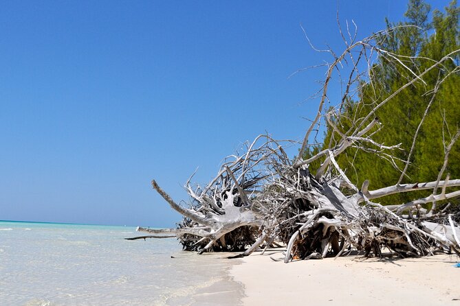 Mamma Gal Celeb-Key Native Exp. Shared Tour - A flexible route across Grand Bahama