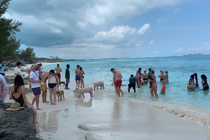 Nas: 3 islands Tour ,snorkel, Turtles, pigs and lunch - Rose Island: beach time and a floating lunch