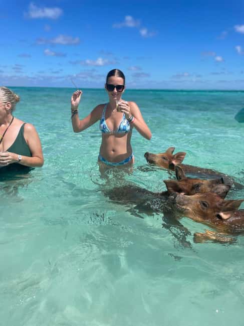 Nassau: 3-Island Snorkel Tour with Pigs, Beach Club, & Lunch - Families, beginners, and active beach lovers