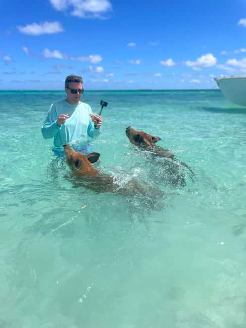Nassau: 3-Island Snorkel Tour with Pigs, Beach Club, & Lunch - Green Cay and the sea turtle snorkeling stop