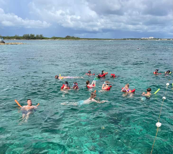 Nassau: 3 Islands Boat w/ Swimming Pigs, Snorkeling & Turtle - Practical Tips for a Better Day