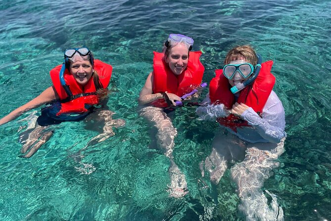 Nassau: 3 islands Pigs,Turtles,Snorkel & Beach Club with lunch - Green Turtle Cay and the search for turtles