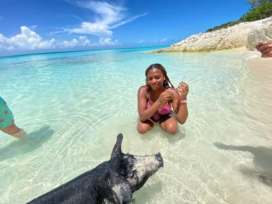 Nassau: 3 Islands Tour, Snorkel, Pig Beach, Turtles & Lunch - Why this short Nassau tour works