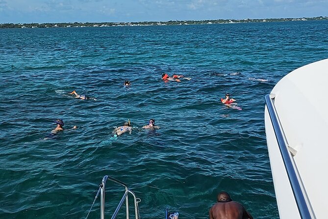 Nassau 3-stops: Snorkeling, Swimming Pigs, Turtles & Lunch - Why this Nassau catamaran trip works so well