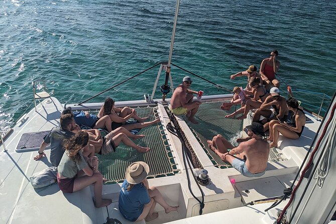 Nassau 3-stops: Snorkeling, Swimming Pigs, Turtles & Lunch - Pig Beach, with a needed reality check