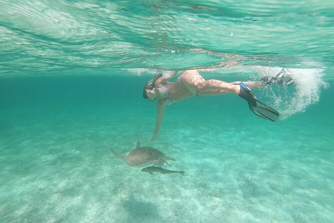 Nassau 3-stops: Snorkeling, Swimming Pigs, Turtles & Lunch - What the $168 price really covers