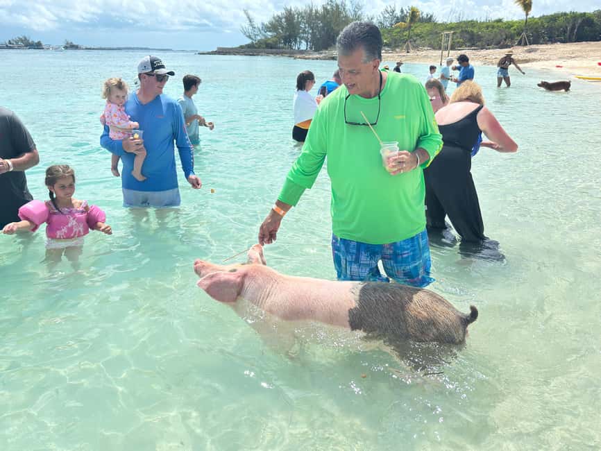Nassau: 4-Island Tour Swimming Pigs, turtles, snorkeling - Why this Nassau boat trip works so well