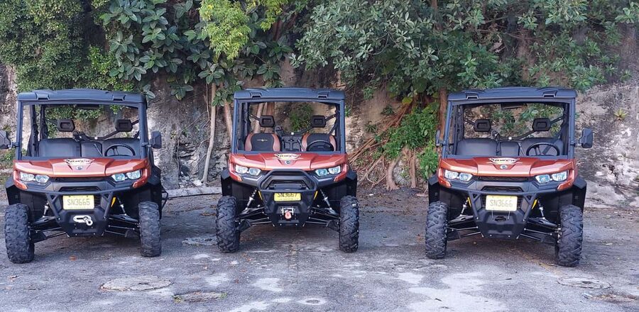 Nassau: 6-Seater Buggy Rental - Price, fuel, and the real value
