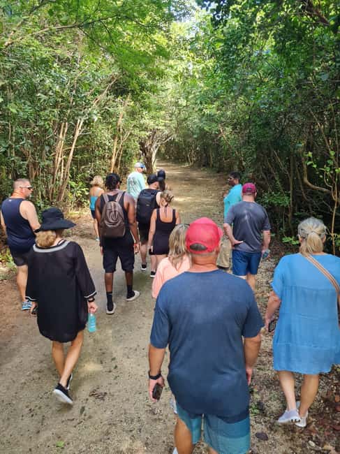Nassau: ATV or Buggy Island Tour - Practical advice for a smoother outing