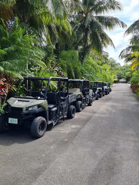 Nassau: ATV or Buggy Island Tour - Who will enjoy this, and who should skip it?