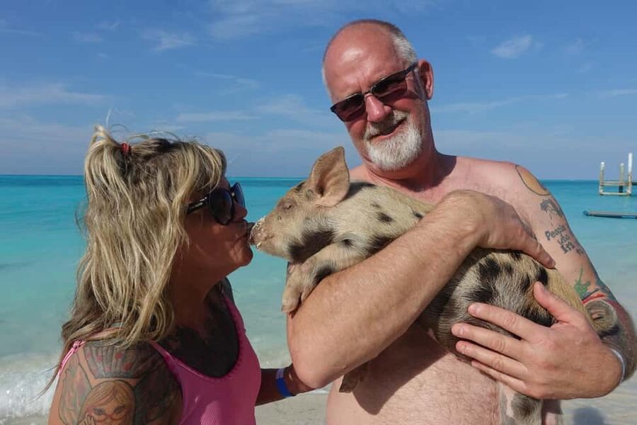 Nassau ATV & Swimming Pigs Tour - What This Nassau Combination Tour Is Trying to Do