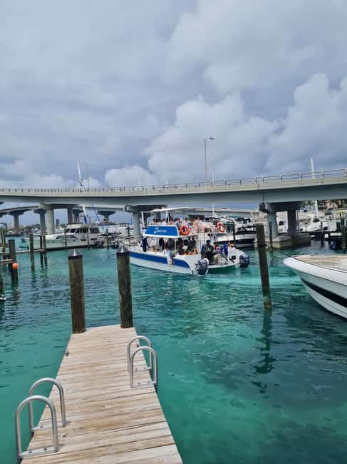 Nassau ATV & Swimming Pigs Tour - From Nassau Harbor to the Private Island