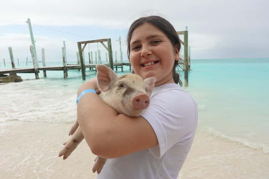 Nassau ATV & Swimming Pigs Tour - The ATV, Buggy, or Jeep Choice