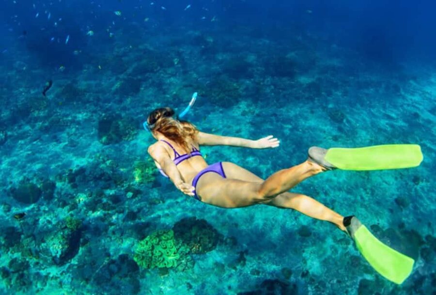 Nassau: Catamaran Sail and Snorkel Tour - Five things to know before you book