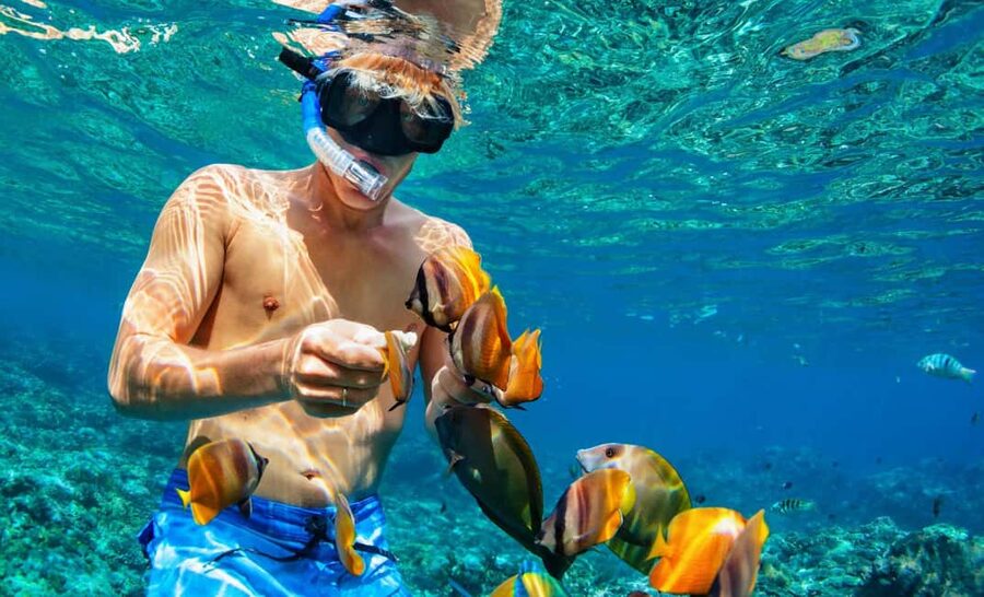 Nassau: Catamaran Sail and Snorkel Tour - The Nassau views add real value