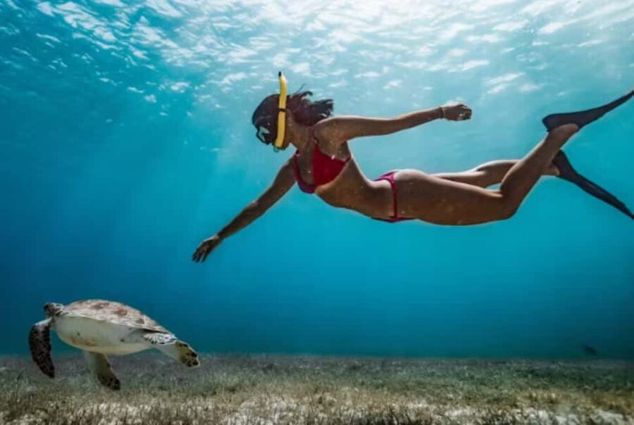 Nassau: Catamaran Sail and Snorkel Tour - Who will enjoy this Nassau outing?