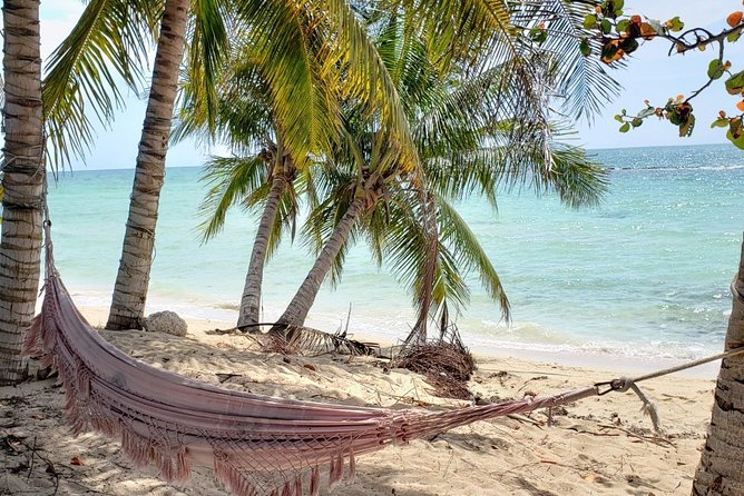 Nassau City Tour: 7 Attractions in the Bahamas - John Watling’s Distillery and the included drink