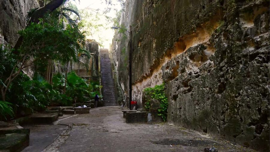 Nassau City Tour: Discover the Charms of Old Charles Town - Should You Book the Old Charles Town Tour?