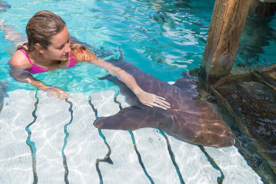 Nassau: Discover Exuma Island Hopping and Swimming Pigs Tour - Key points to know before booking
