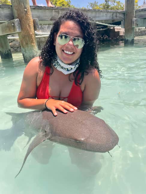 Nassau: Discover Exuma Island Hopping and Swimming Pigs Tour - Meeting the nurse sharks at Compass Cay