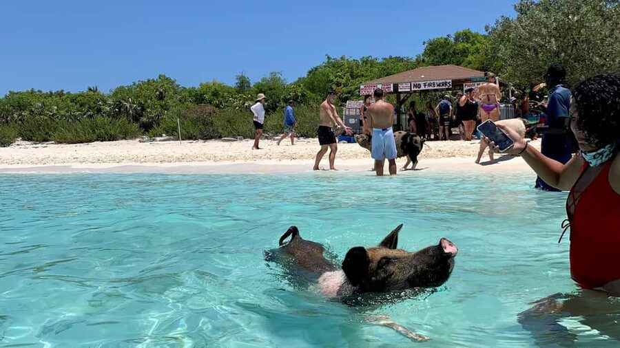 Nassau: Discover Exuma Island Hopping and Swimming Pigs Tour - The boat rides and the pace of the day