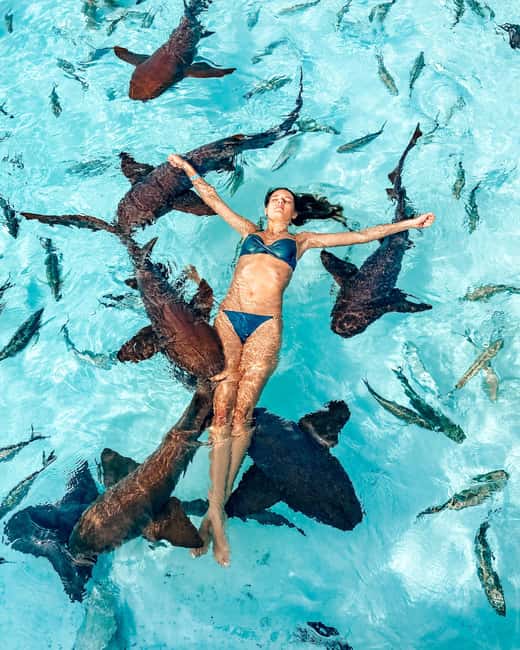 Nassau: Discover Exuma Island Hopping and Swimming Pigs Tour - What the $489 price really covers