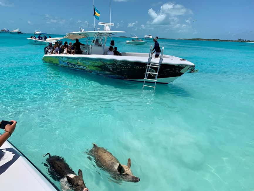 Nassau: Discover Exuma Island Hopping and Swimming Pigs Tour - Leaving Paradise Island for Allen’s Cay