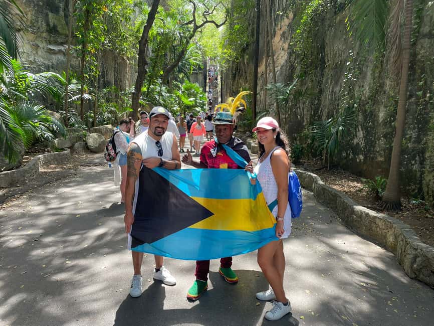 Nassau: E-Scooter Tour with Food Tasting and Local Drinks - Why an e-scooter works well in Nassau