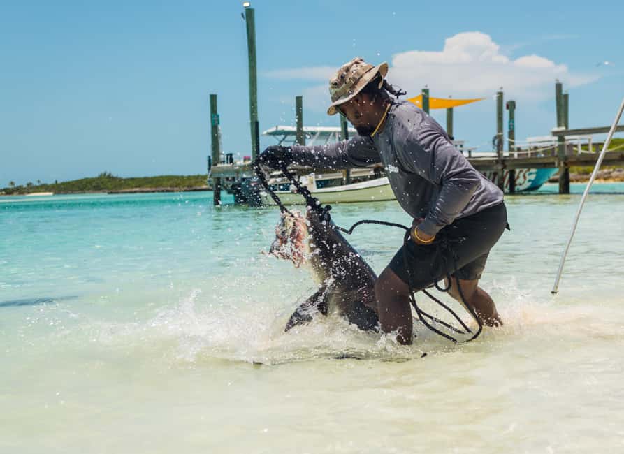 Nassau: Exuma Powerboat Day Trip - Feeding Iguanas and Meeting the Island Animals