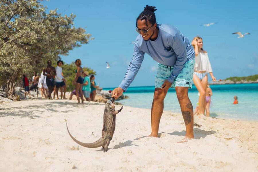 Nassau: Exuma Powerboat Day Trip - What the Shark Feeding Really Involves