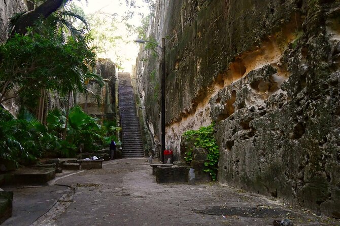 Nassau Family Friendly City Tour - Guides, vehicles, and the human side of the tour