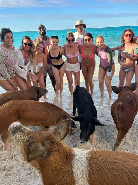 Nassau: Full-Day Party Catamaran with Private Beach & Lunch - Arriving at Shore to Shore Beach Club