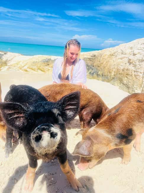 Nassau: Full-Day Party Catamaran with Private Beach & Lunch - Meeting the Rose Island pigs