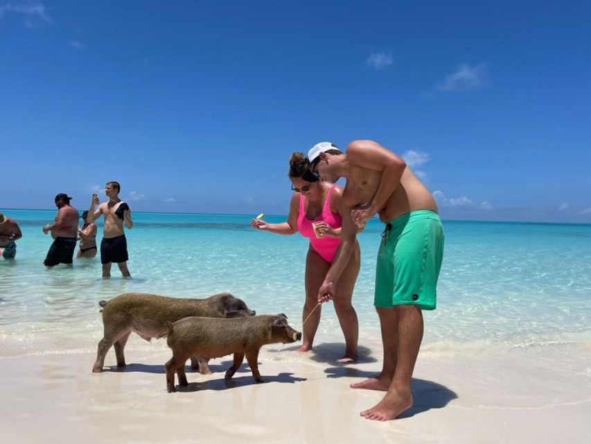 Nassau: Half-Day Guided Cay Cruise, Sea Life Watch & Snorkel - Athol Island: The Main Snorkeling Stop