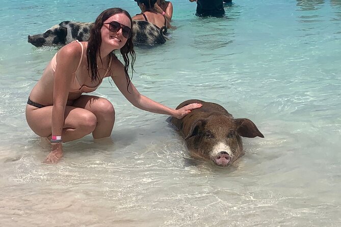 Nassau: Half Day Reef Snorkeling, Turtles & Swimming Pigs - Key points to know before booking