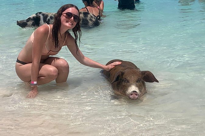 Nassau: Half Day Reef Snorkeling, Turtles & Swimming Pigs - Who will get the most from this outing