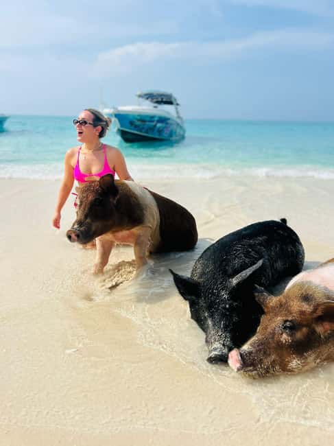 Nassau: Half-Day Swimming Pigs, Reef Snorkel & Beach Club - Quick takeaways for your Nassau day