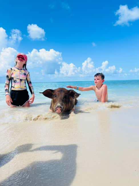 Nassau: Half-Day Swimming Pigs, Reef Snorkel & Beach Club - Meeting at Montague Beach without confusion