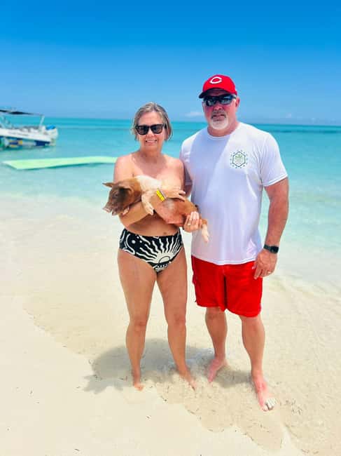 Nassau: Half-Day Swimming Pigs, Reef Snorkel & Beach Club - Rose Island combines pigs, lunch, and beach time