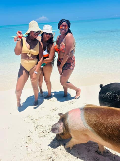 Nassau: Half-Day Swimming Pigs, Reef Snorkel & Beach Club - Green Cay offers a short turtle check