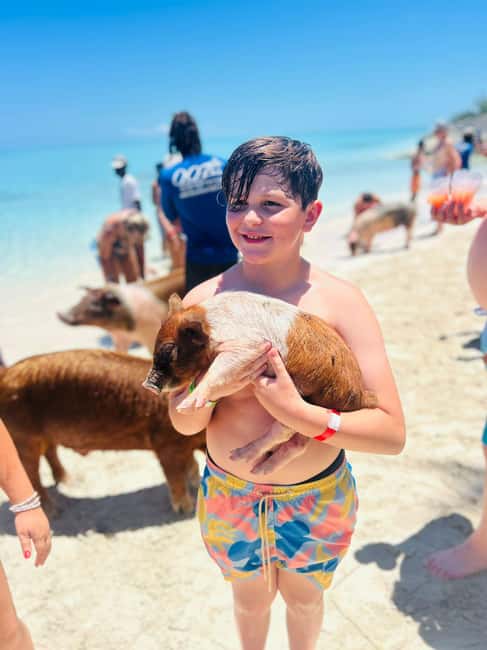 Nassau: Half-Day Swimming Pigs, Reef Snorkel & Beach Club - How much value do you get for $189?