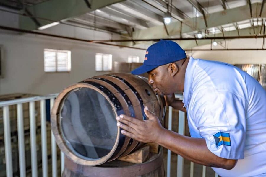 Nassau: Island Highlights Tour with Rum Tasting - How much value do you get for $80?